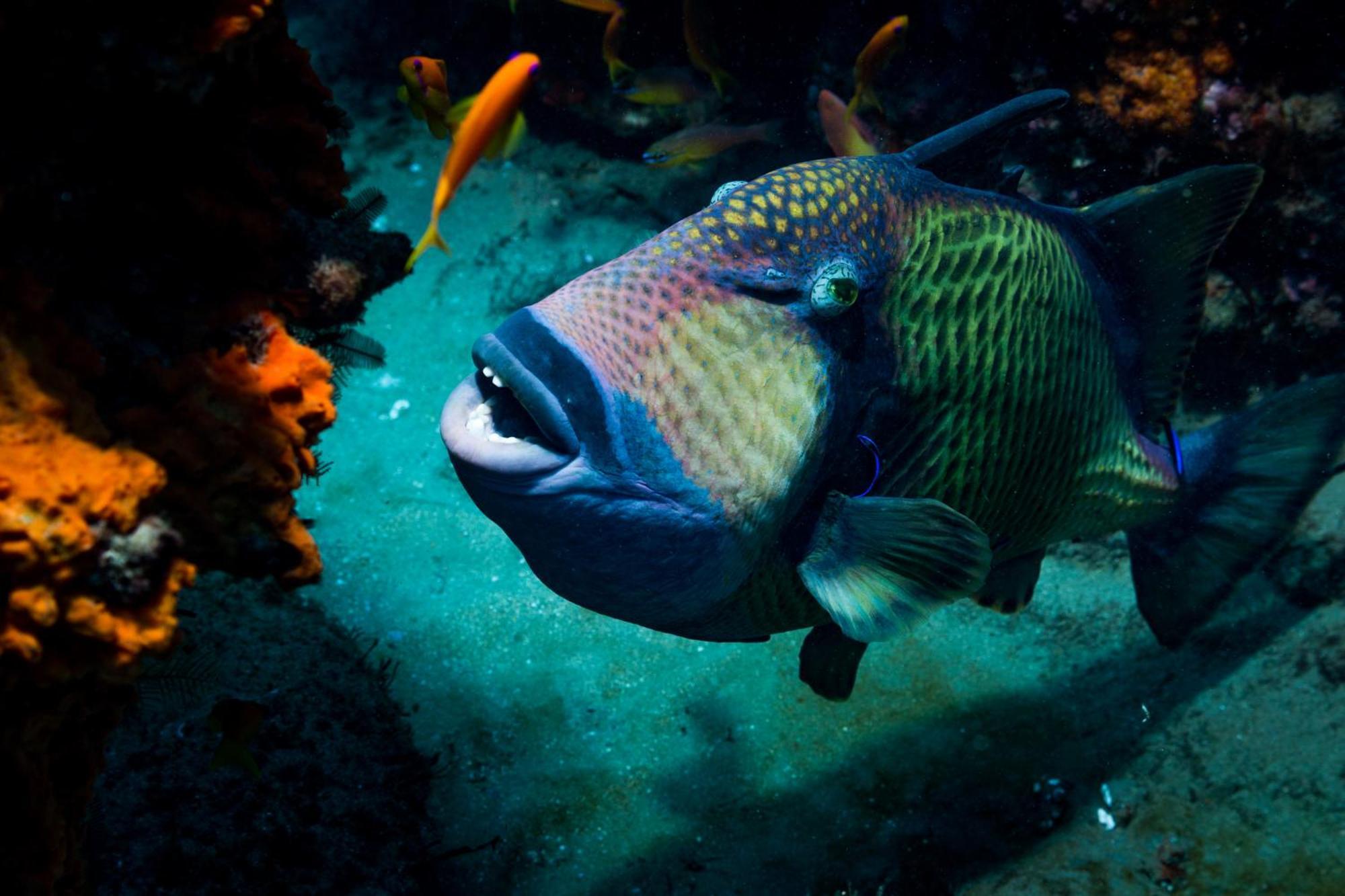 Sodwana Bay Lodge Dive & Fishing Resort Bagian luar foto
