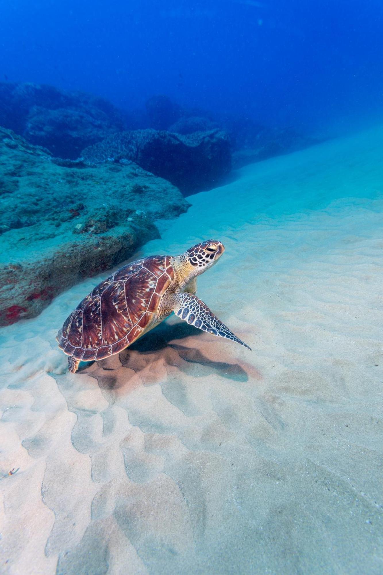 Sodwana Bay Lodge Dive & Fishing Resort Bagian luar foto