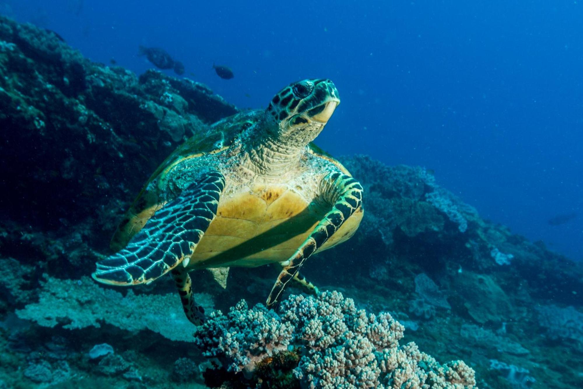 Sodwana Bay Lodge Dive & Fishing Resort Bagian luar foto