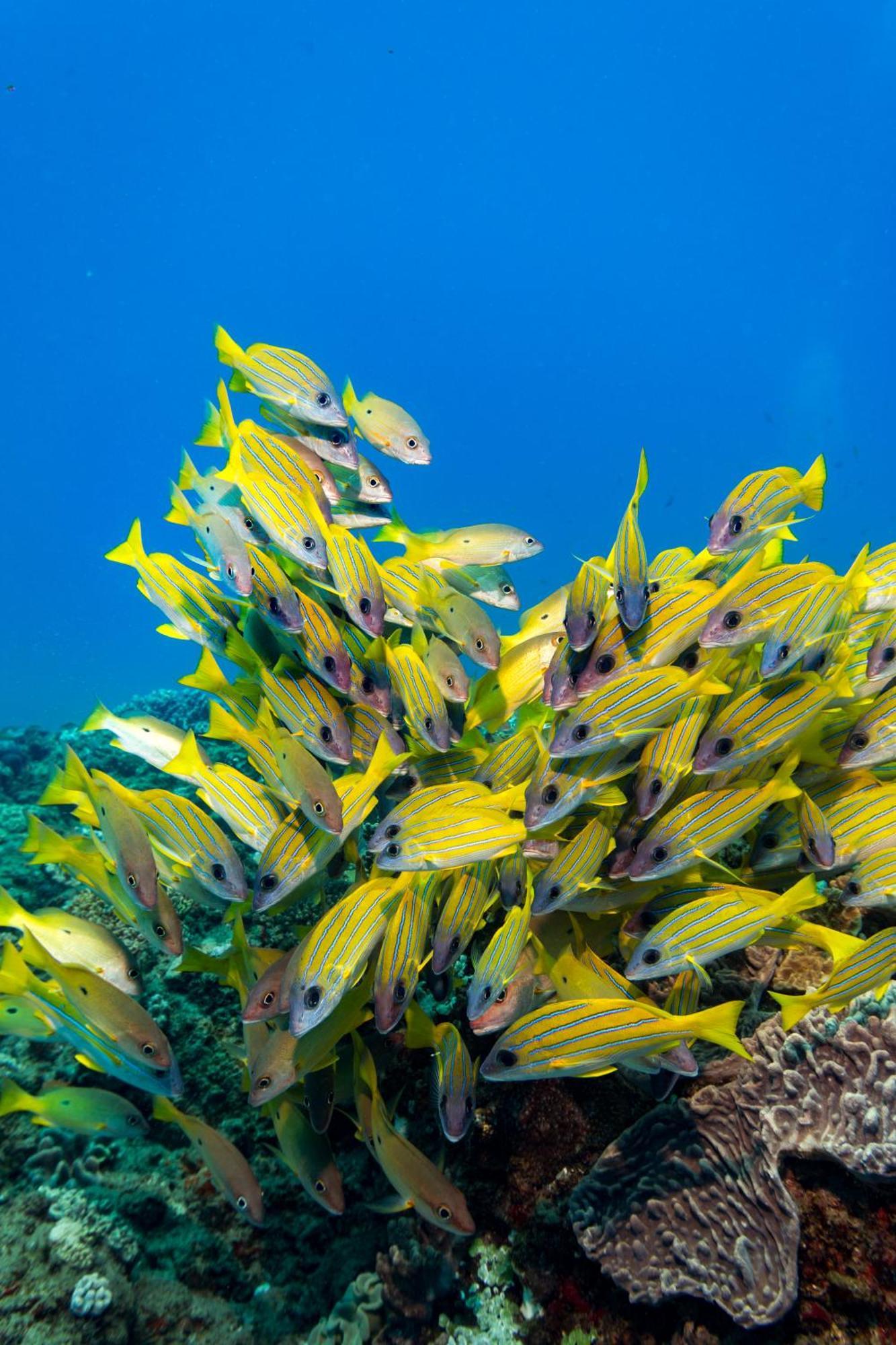 Sodwana Bay Lodge Dive & Fishing Resort Bagian luar foto