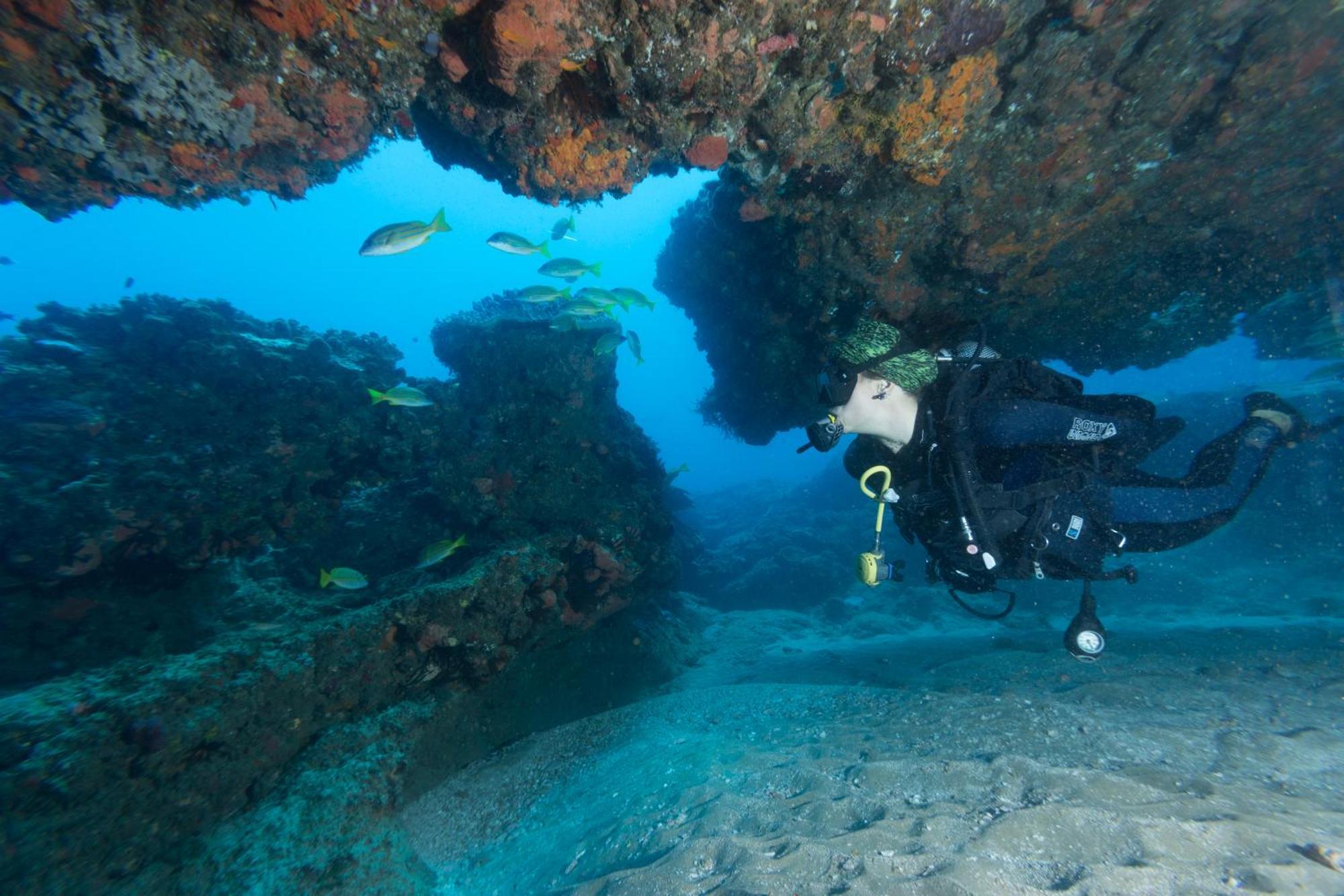 Sodwana Bay Lodge Dive & Fishing Resort Bagian luar foto