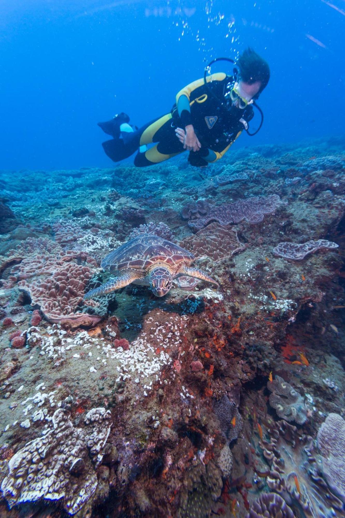 Sodwana Bay Lodge Dive & Fishing Resort Bagian luar foto